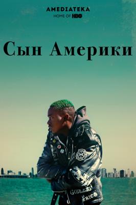 Сын Америки (Native Son) 2019 года смотреть онлайн бесплатно в отличном качестве. Постер