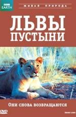 BBC: Живой мир (Мир природы): Львы пустыни