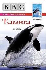 BBC: Плотоядные. Касатка (BBC: Wildlife Special - Killer Whale) 2003 года смотреть онлайн бесплатно в отличном качестве. Постер