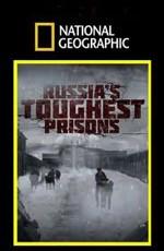 National Geographic. Взгляд изнутри: Самая страшная тюрьма России / Inside: Russia's toughest prisons (2011) смотреть онлайн бесплатно в отличном качестве