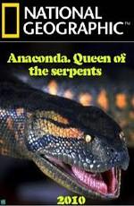 National Geographic: Анаконда. Королева змей / National Geographic: Anaconda. Queen of the serpents (None) смотреть онлайн бесплатно в отличном качестве