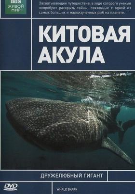 BBC: Китовая акула (BBC: Whale Shark) 2008 года смотреть онлайн бесплатно в отличном качестве. Постер