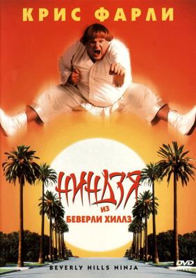 Ниндзя из Беверли Хиллз / Beverly Hills Ninja (None) смотреть онлайн бесплатно в отличном качестве