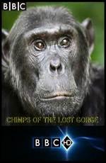 BBC: Шимпанзе - есть ли выход? (BBC: Chimps of the Lost Gorge) 2011 года смотреть онлайн бесплатно в отличном качестве. Постер