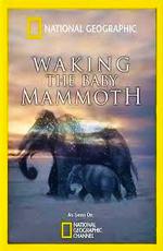 National Geographic: Мамонтёнок: застывший во времени / National Geographic: Waking the Baby Mammoth (2009) смотреть онлайн бесплатно в отличном качестве