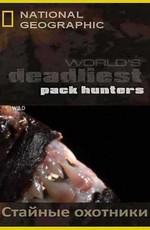 National Geographic : Самые опасные животные : Стайные охотники (World's deadliest : Pack hanters)  года смотреть онлайн бесплатно в отличном качестве. Постер