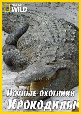 National Geographic: Ночные охотники. Крокодилы / National Geographic: Nightstalkers. Crocodiles (2011) смотреть онлайн бесплатно в отличном качестве