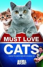 Animal Planet: Кошек не любить нельзя / Animal Planet: Must Love Cats () смотреть онлайн бесплатно в отличном качестве