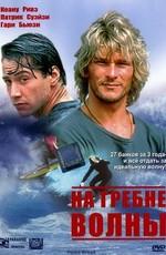 На гребне волны / Point Break () смотреть онлайн бесплатно в отличном качестве