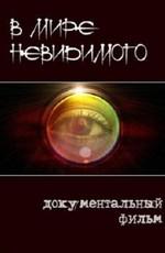 В мире невидимого () 2011 года смотреть онлайн бесплатно в отличном качестве. Постер