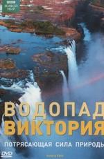 BBC: Водопад Виктория (BBC: Victoria Falls) 2008 года смотреть онлайн бесплатно в отличном качестве. Постер