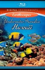 Живые пейзажи. Подводный мир Гавайи (Living Landscapes. Underwater Paradise Hawaii) 2009 года смотреть онлайн бесплатно в отличном качестве. Постер