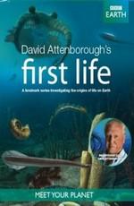 BBC: Первая жизнь (BBC: David Attenborough's First Life)  года смотреть онлайн бесплатно в отличном качестве. Постер