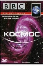 BBC: Космос. Выживание (BBC: Space. Survival) 2001 года смотреть онлайн бесплатно в отличном качестве. Постер