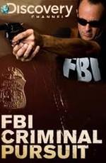 Discovery: ФБР: Борьба с преступностью / Discovery: FBI: Criminal Pursuit (2011) смотреть онлайн бесплатно в отличном качестве