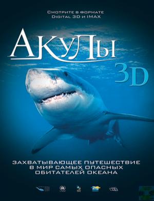 Акулы 3D / Sharks 3D (2005) смотреть онлайн бесплатно в отличном качестве