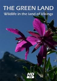 Гренландия: Дикая природа страны викингов / The Green Land: Wildlife in the Land of Vikings (2005) смотреть онлайн бесплатно в отличном качестве