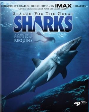 В поисках больших акул / Search for the Great Sharks () смотреть онлайн бесплатно в отличном качестве