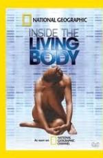 National Geographic: Внутри живого тела / National Geographic: Inside the Living Body (2007) смотреть онлайн бесплатно в отличном качестве