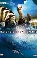 BBC. Великие природные явления / BBC. Nature Great Events (2009) смотреть онлайн бесплатно в отличном качестве