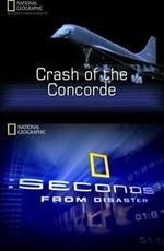 National Geographic: Секунды до катастрофы. Крушение конкорда (Seconds from Disaster. Crash of the Concorde)  года смотреть онлайн бесплатно в отличном качестве. Постер