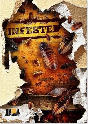 Animal Planet: Вторжение паразитов / Infested! (2011) смотреть онлайн бесплатно в отличном качестве