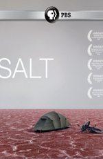 Соль / Salt (2009) смотреть онлайн бесплатно в отличном качестве