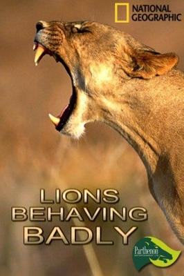 National Geographic: Львы-хулиганы / Lions Behaving Badly (2005) смотреть онлайн бесплатно в отличном качестве