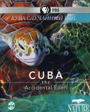 Куба. Случайный рай / Cuba. The Accidental Eden (None) смотреть онлайн бесплатно в отличном качестве