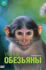 BBC: Умные обезьяны / Clever Monkeys (2008) смотреть онлайн бесплатно в отличном качестве