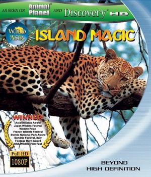 Discovery: Дикая Азия: Остров Волшебства (Wild Asia: Island Magic) 2009 года смотреть онлайн бесплатно в отличном качестве. Постер