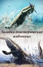 Загадки доисторических животных / Mysteries of prehistoric animals (None) смотреть онлайн бесплатно в отличном качестве