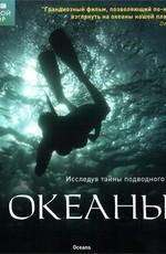 BBC: Океаны (Oceans) 2008 года смотреть онлайн бесплатно в отличном качестве. Постер