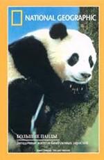 National Geographic: Гигантские панды / Giant Panda () смотреть онлайн бесплатно в отличном качестве