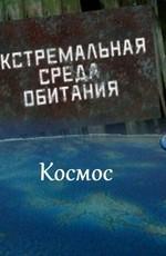 Экстремальная среда обитания. Космос /  (2011) смотреть онлайн бесплатно в отличном качестве