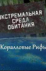 Экстремальная среда обитания. Коралловые рифы () 2011 года смотреть онлайн бесплатно в отличном качестве. Постер