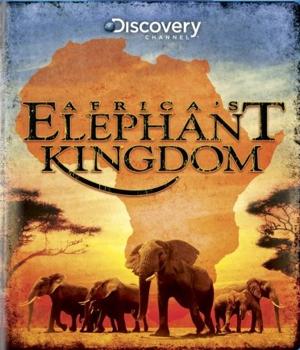 Discovery: Королевство африканского слона / Africa's Elephant Kingdom (None) смотреть онлайн бесплатно в отличном качестве