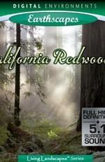 Живые Пейзажи: Калифорнийские секвойи (Living Landscapes: California Redwoods) 2009 года смотреть онлайн бесплатно в отличном качестве. Постер