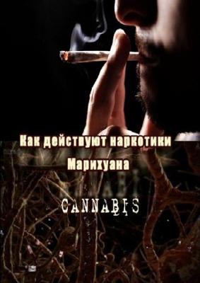 ВВС: Как действуют наркотики: Марихуана (ВВС: How Drugs Work: Cannabis) 2011 года смотреть онлайн бесплатно в отличном качестве. Постер