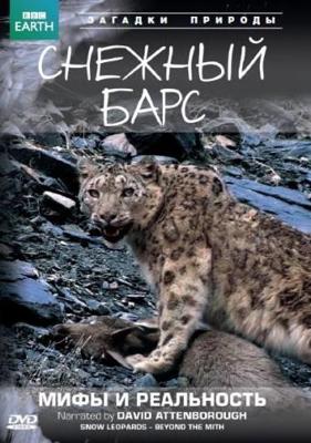 BBC: Живой мир (Мир природы): Снежный барс: Мифы и реальность / Natural World: Snow Leopard - Beyond the Myth () смотреть онлайн бесплатно в отличном качестве