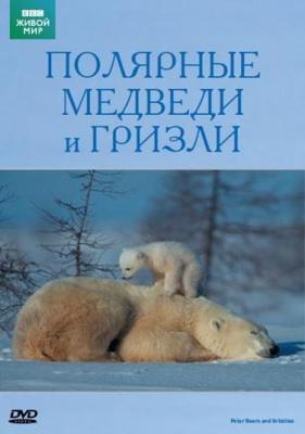 BBC: Живой мир (Мир природы): Полярные медведи и гризли / The Natural World. Polar bears & grizzlies - bears on top of the world () смотреть онлайн бесплатно в отличном качестве