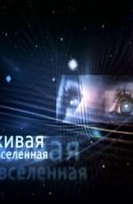 Живая Вселенная /  (2011) смотреть онлайн бесплатно в отличном качестве