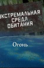 Экстремальная среда обитания. Огонь /  (2011) смотреть онлайн бесплатно в отличном качестве