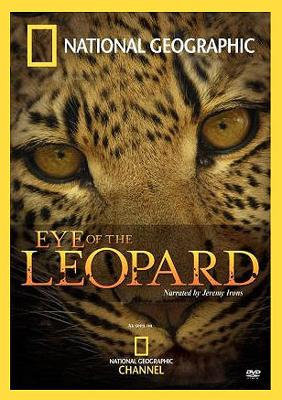 National Geographic: Глаз леопарда / Eye of the Leopard (2006) смотреть онлайн бесплатно в отличном качестве