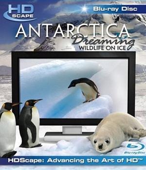 HDScape: Антарктика - Дикая жизнь на льду / Antarctica Dreaming - Wild Life On Ice (2006) смотреть онлайн бесплатно в отличном качестве