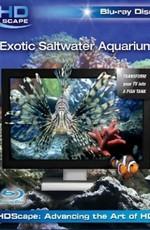 HDScape: Экзотический морской аквариум (Exotic Saltwater Aquarium) 2006 года смотреть онлайн бесплатно в отличном качестве. Постер