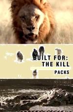 National Geographic: Созданные убивать. Стаи / Built for the Kill. Packs (None) смотреть онлайн бесплатно в отличном качестве