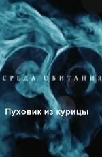 Среда обитания.Пуховик из курицы ()  года смотреть онлайн бесплатно в отличном качестве. Постер