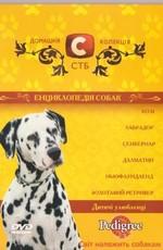 Энциклопедия собак. Детские любимцы (Dogs Encyclopedia Child's favourites) 2007 года смотреть онлайн бесплатно в отличном качестве. Постер