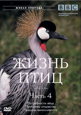 BBC: Жизнь птиц.Часть 4 (BBC: The Life Of Birds)  года смотреть онлайн бесплатно в отличном качестве. Постер